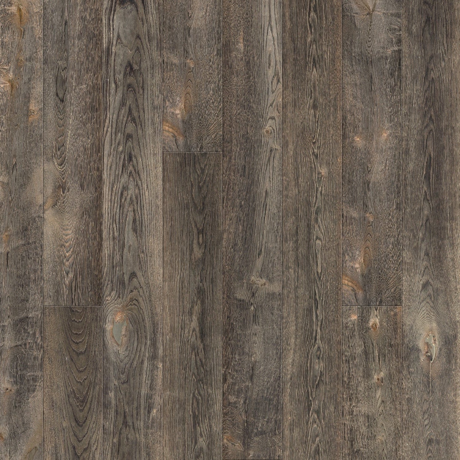 アトリエGG BRANCHDATE WH 19½ Atelier Collection - Eventide - DUCHATEAU
