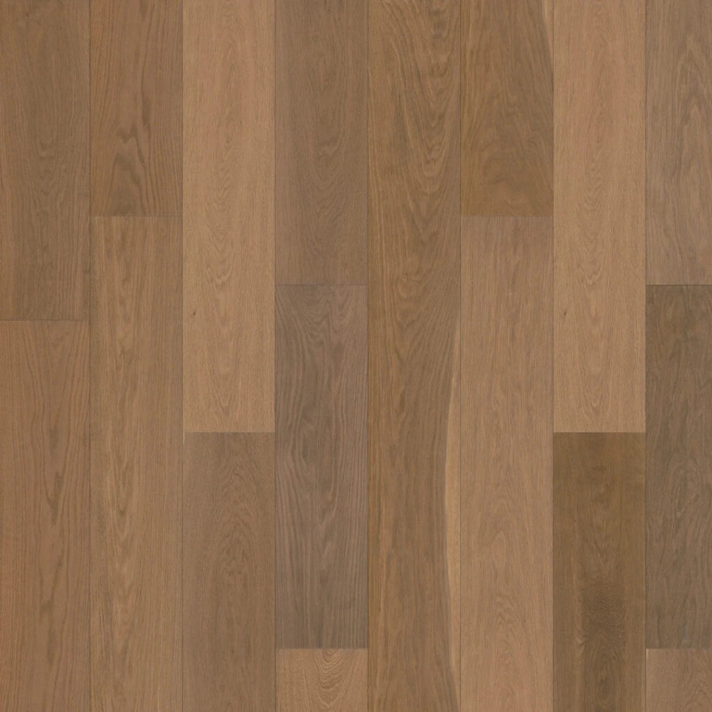 Duchateau Vernal Collection Belvedere color